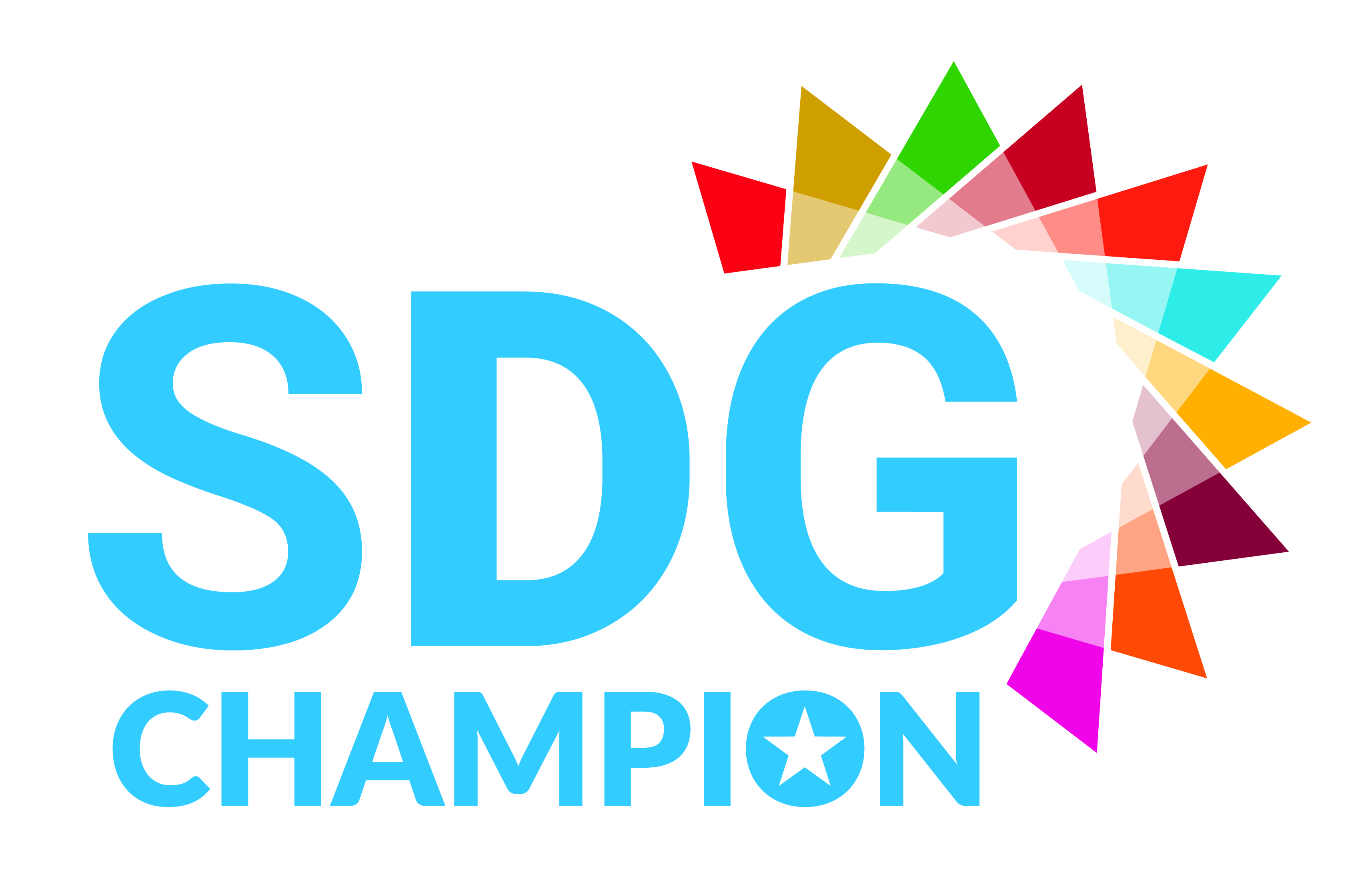 SDG logo