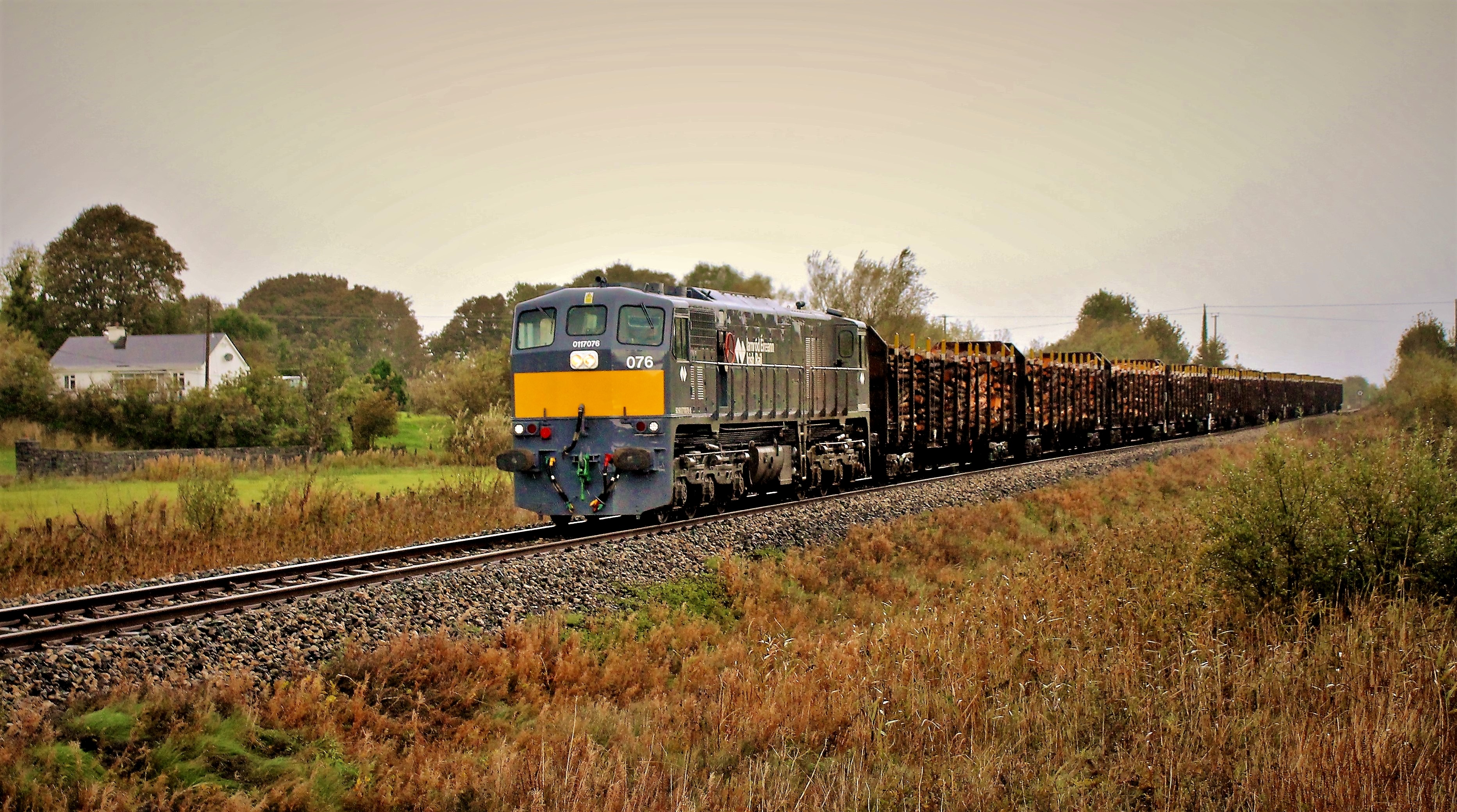 071 class locomotive, hauling timber