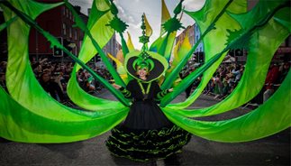 Picture of woman in outstanding costume at the Limerick St. Patrick's Day parade 