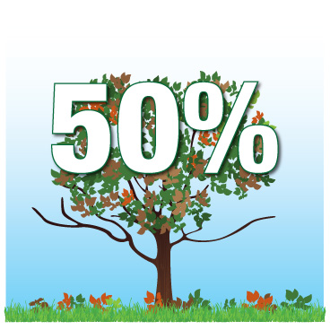 50% leaves on tree left